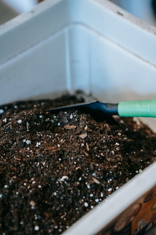 Beginner Tips for Composting at Home: Simple Steps to Start